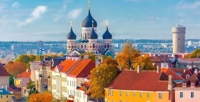 Lass dich in Tallinn von einem freundlichen lokalen Guide begrüßen. Entdecke die Stadt wie einer ihrer Bewohner. Erfahre unter anderem, wo es die besten Plätze zum Essen und Einkaufen gibt.